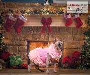 img_small_2516