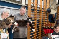 img_small_2601