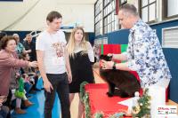img_small_2615