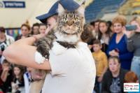 img_small_2626