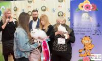 img_small_2652