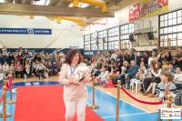 img_small_2672