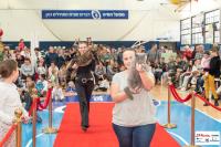 img_small_2717
