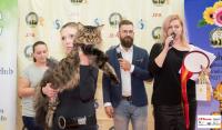 img_small_2745