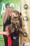 img_small_2753