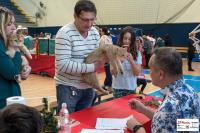 img_small_2814