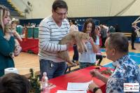 img_small_2815