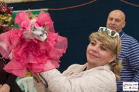 img_small_2819