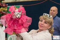 img_small_2820
