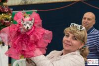 img_small_2821