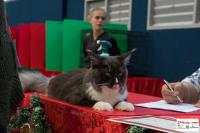 img_small_2822
