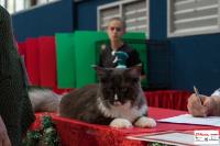 img_small_2823