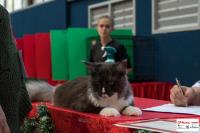 img_small_2824