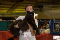 img_small_2864